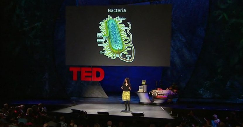 bakterie tedex